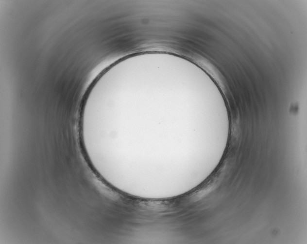 X0000089831149200707262019