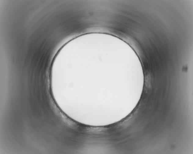 X0000089831150200707262019