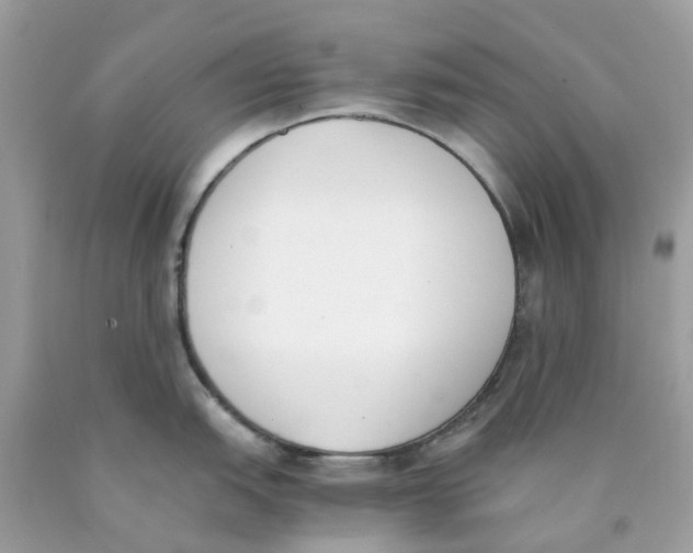 X0000089831151200707262019