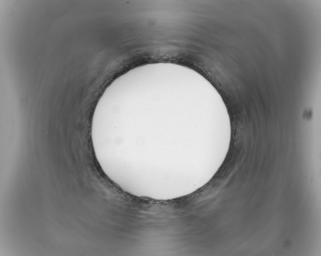 X0000089831153200707262018