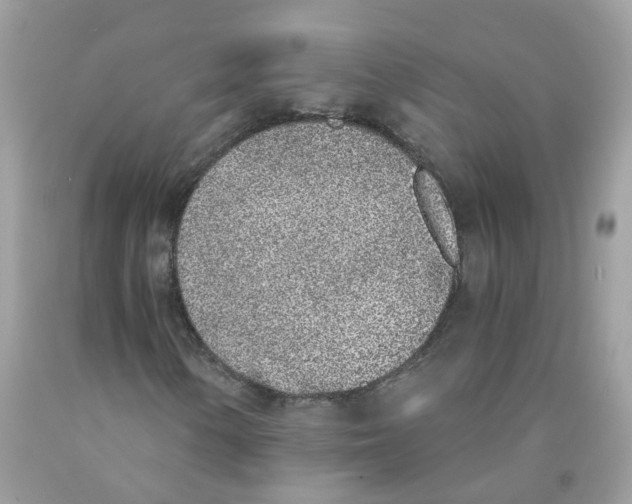 X0000089831154200707262018