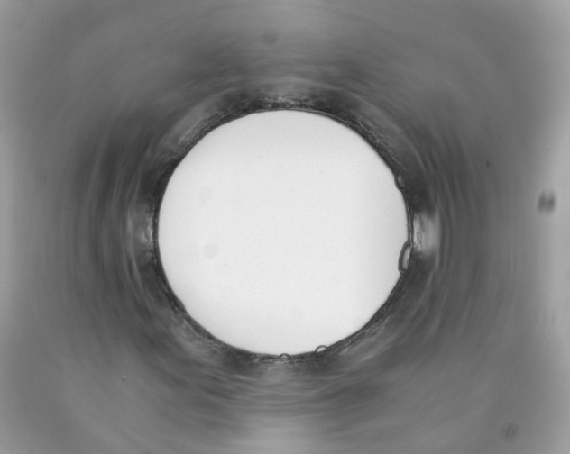 X0000089831155200707262018