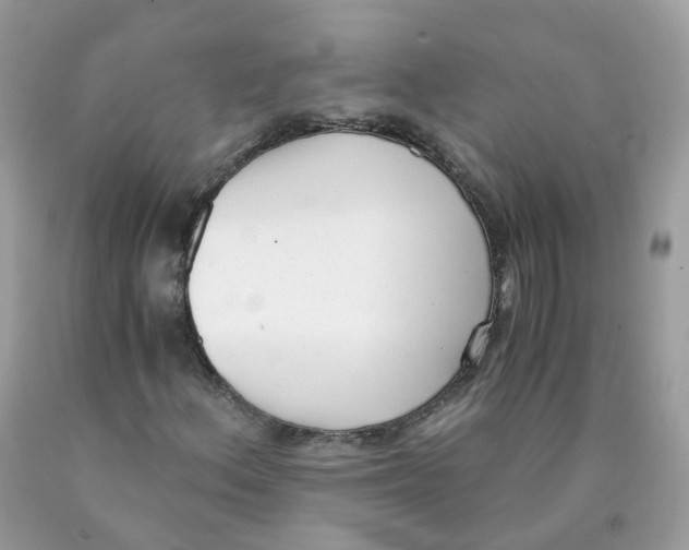 X0000089831156200707262018