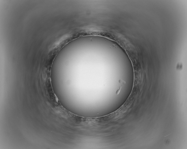 X0000089831157200707262018