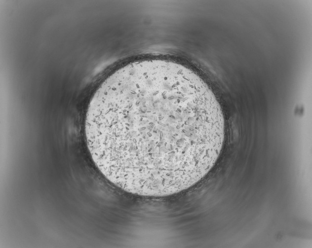 X0000089831158200707262018