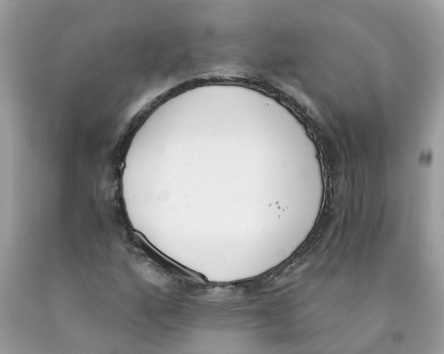 X0000089831160200707262018