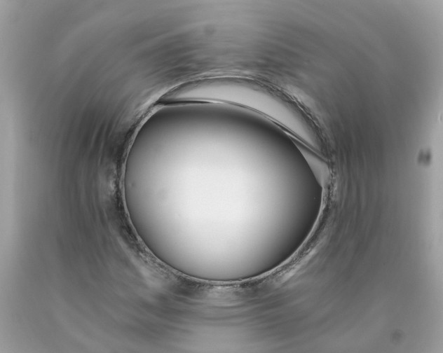 X0000089831161200707262018
