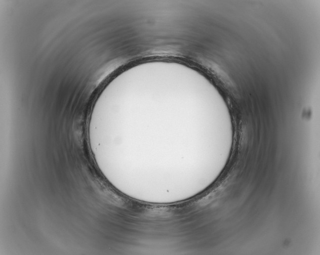 X0000089831162200707262017