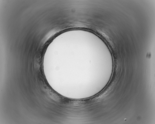 X0000089831163200707262017