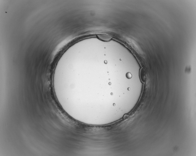 X0000089831164200707262017