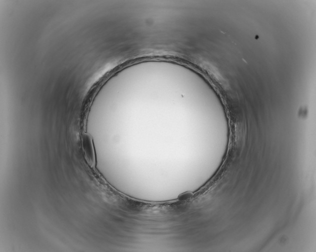 X0000089831165200707262017