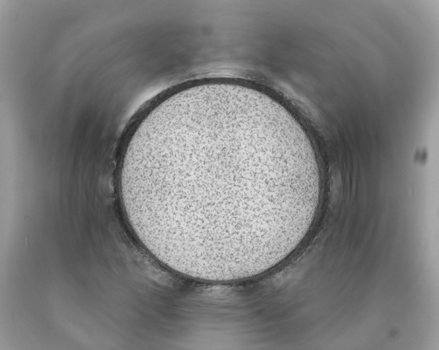 X0000089831166200707262017