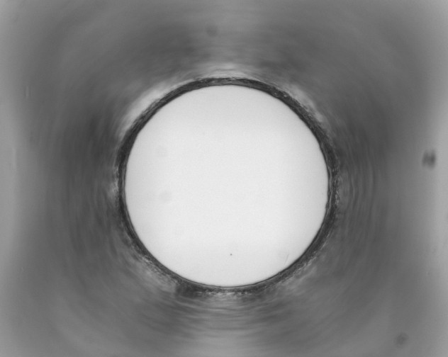 X0000089831167200707262017