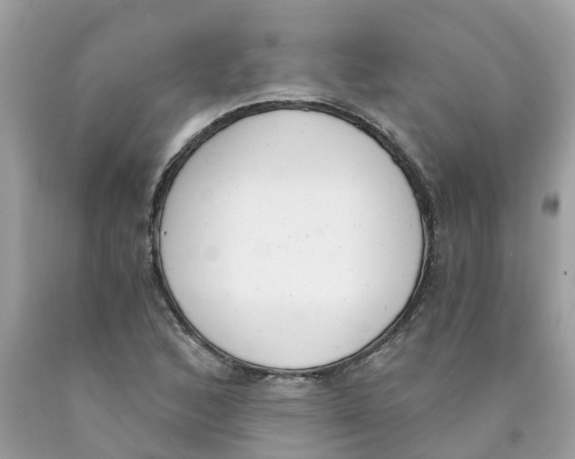 X0000089831168200707262017