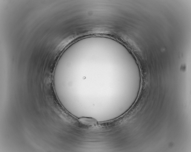 X0000089831169200707262017