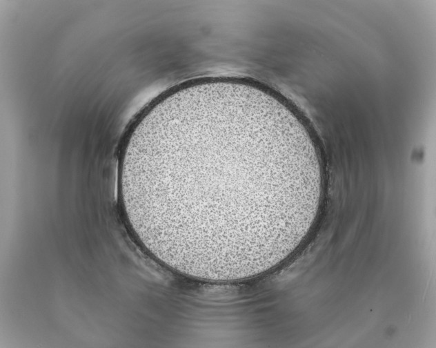 X0000089831171200707262017