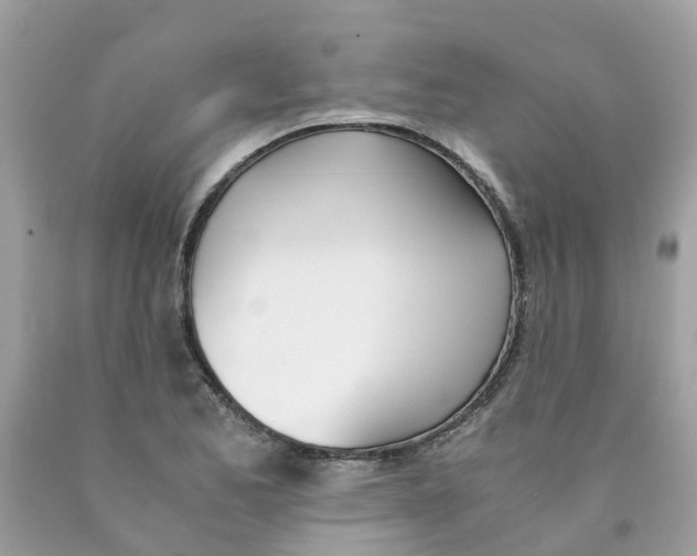 X0000089831173200707262017