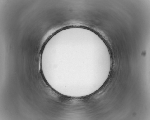 X0000089831175200707262017