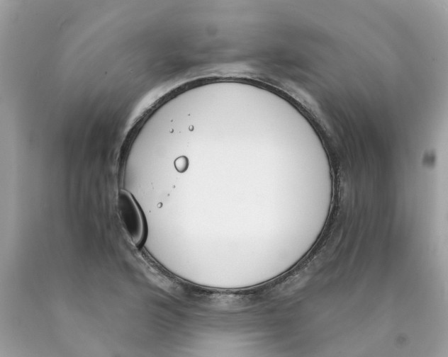X0000089831176200707262017