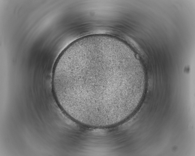 X0000089831178200707262017