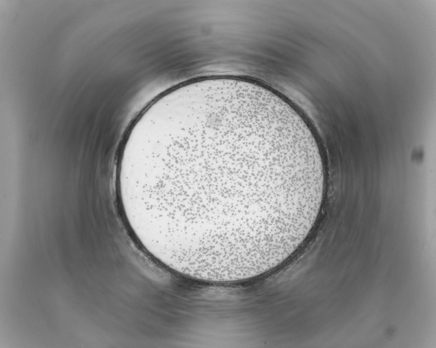 X0000089831179200707262017