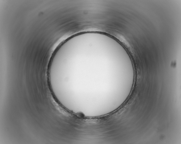 X0000089831181200707262017
