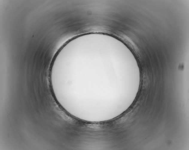X0000089831182200707262017