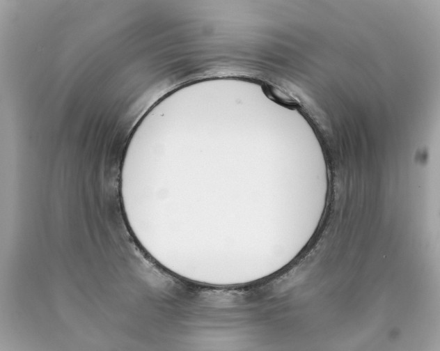 X0000089831185200707262017