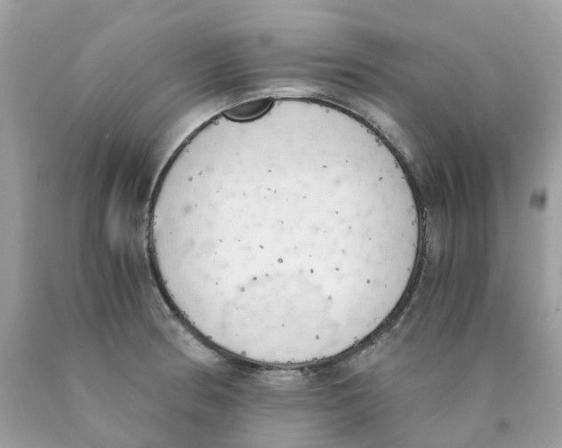 X0000089831186200707262017