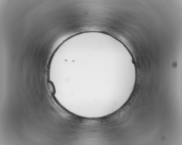 X0000089831187200707262017