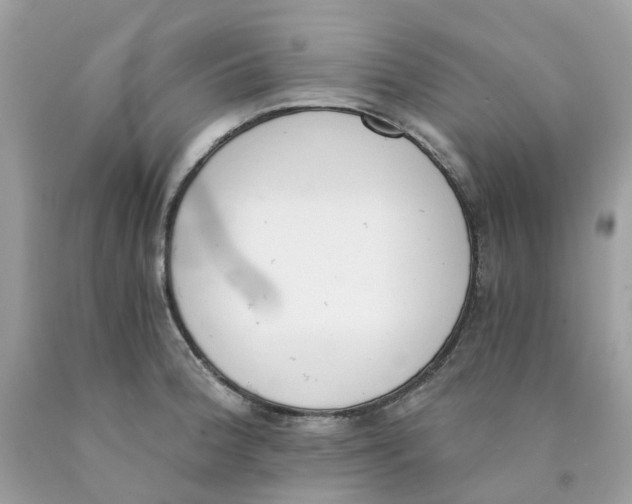 X0000089831188200707262017