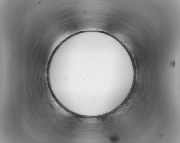 X0000089831189200707262017
