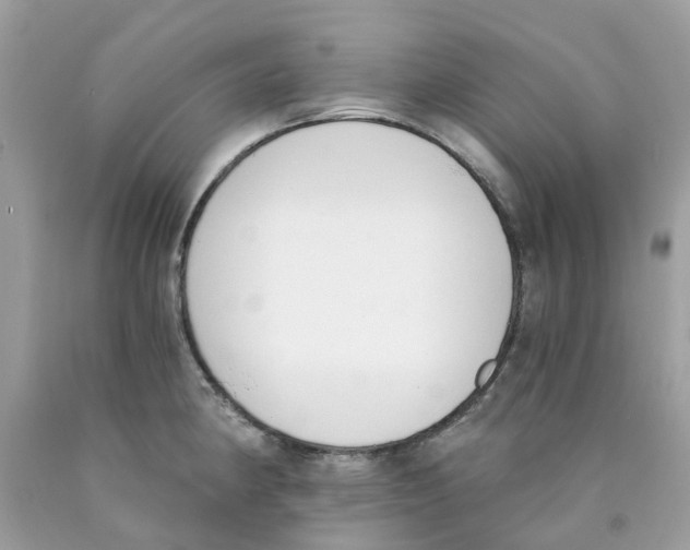 X0000089831190200707262017