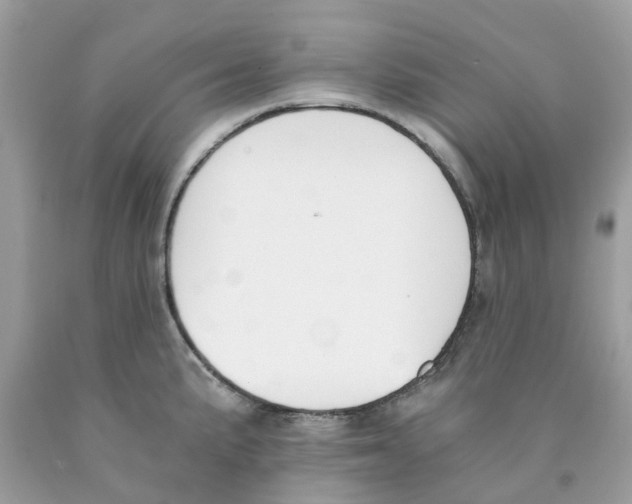 X0000089831191200707262017