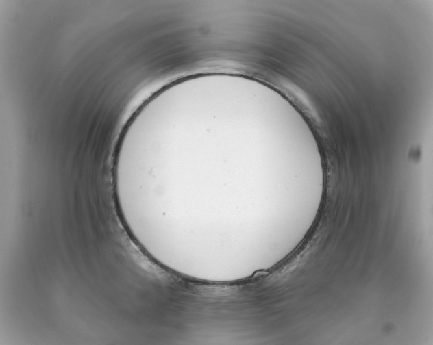 X0000089831192200707262017