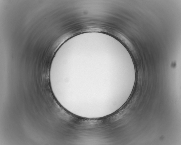 X0000089831193200707262017