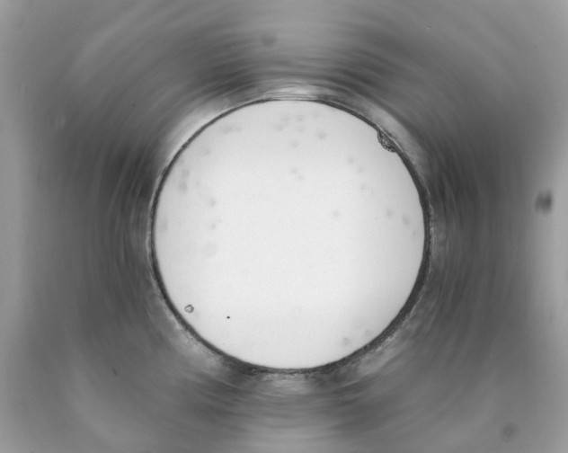 X0000089831194200707262017