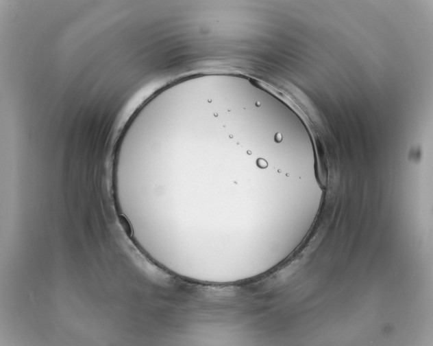 X0000089831196200707262017