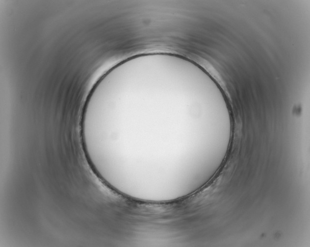X0000089831197200707262017
