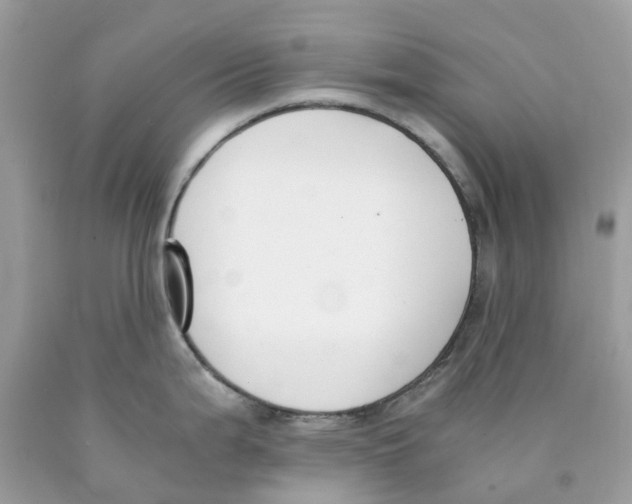 X0000089831199200707262017