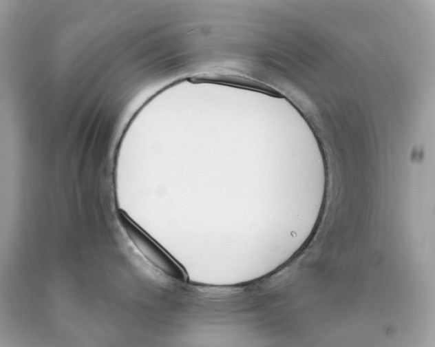 X0000089831200200707262017