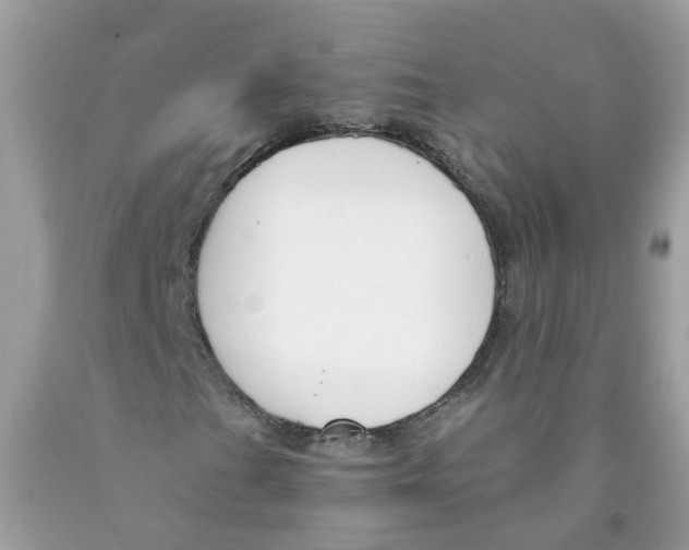 X0000089831201200707262016