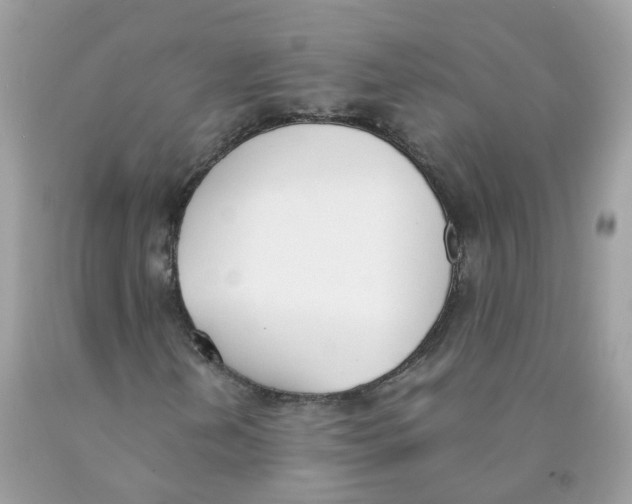 X0000089831202200707262016
