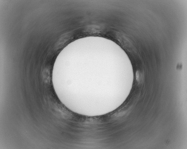 X0000089831203200707262016