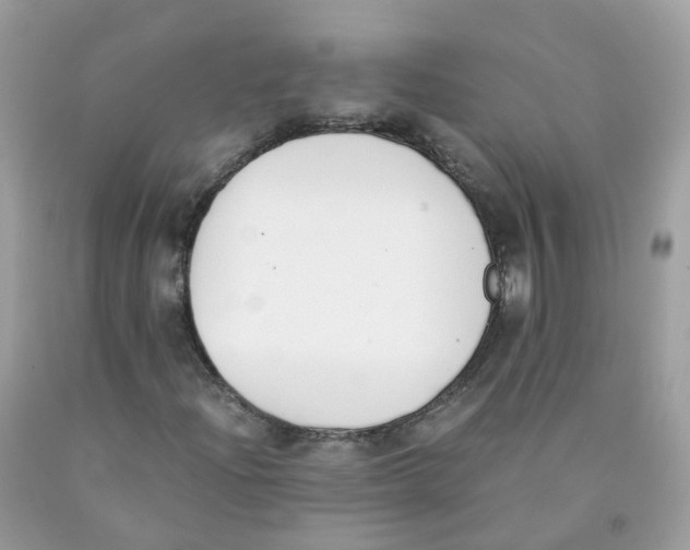 X0000089831204200707262016