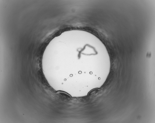 X0000089831205200707262016
