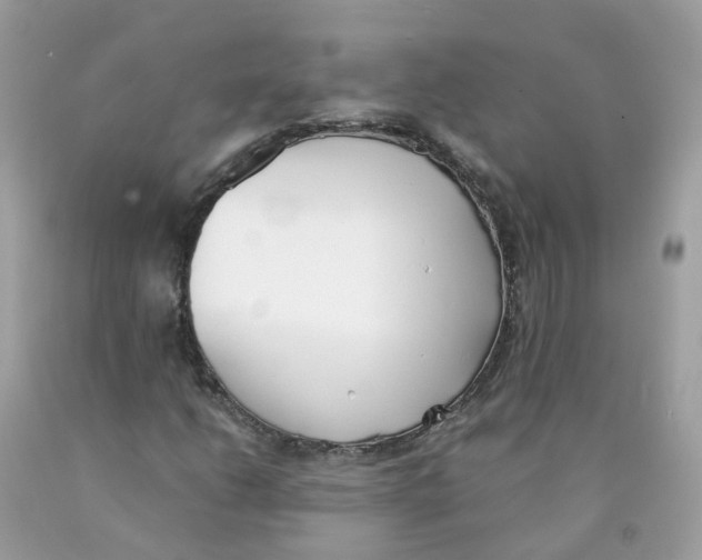 X0000089831206200707262016