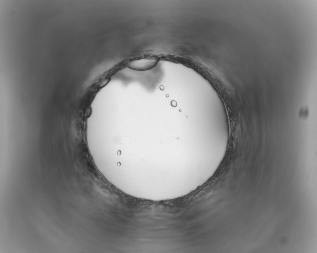 X0000089831207200707262017