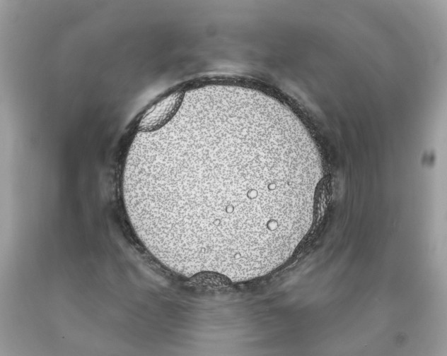 X0000089831208200707262017