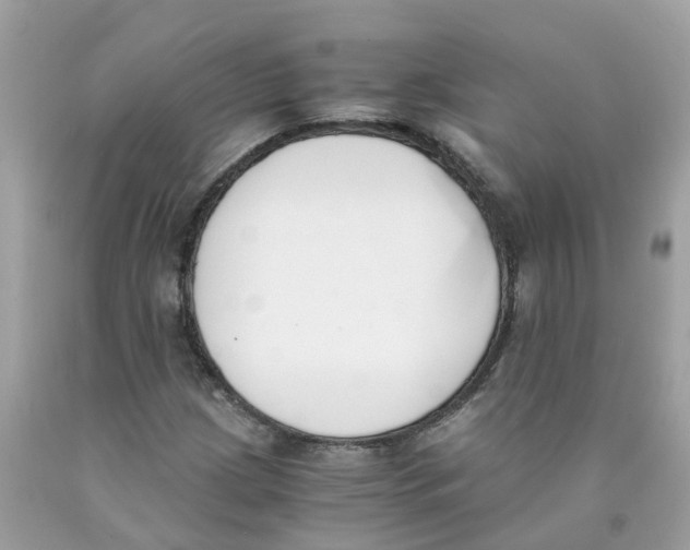 X0000089831209200707262017